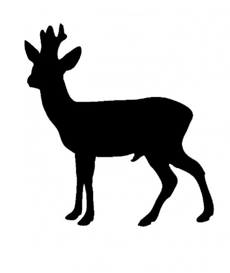 Designklistermärke - Roebuck