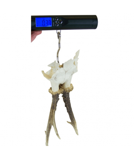 Digital 50 kg-våg för småvilt och fisk