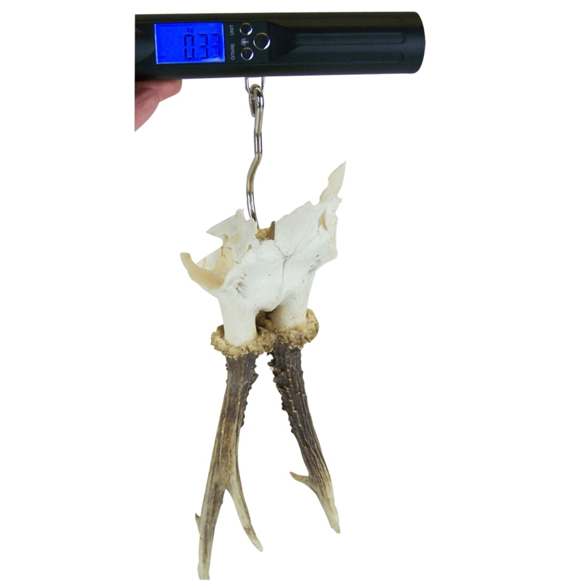 Digital 50 kg-våg för småvilt och fisk