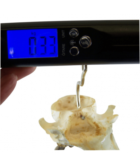 Digital 50 kg-våg för småvilt och fisk