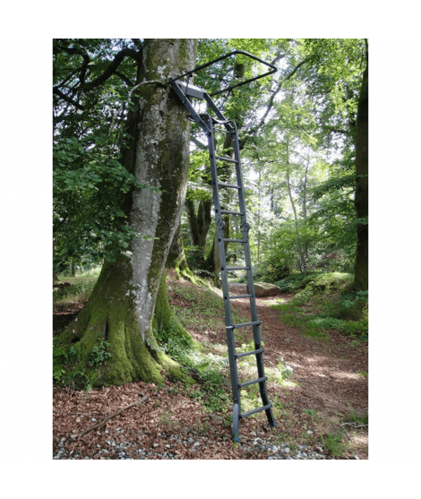 HS-40 utdragbar stege
