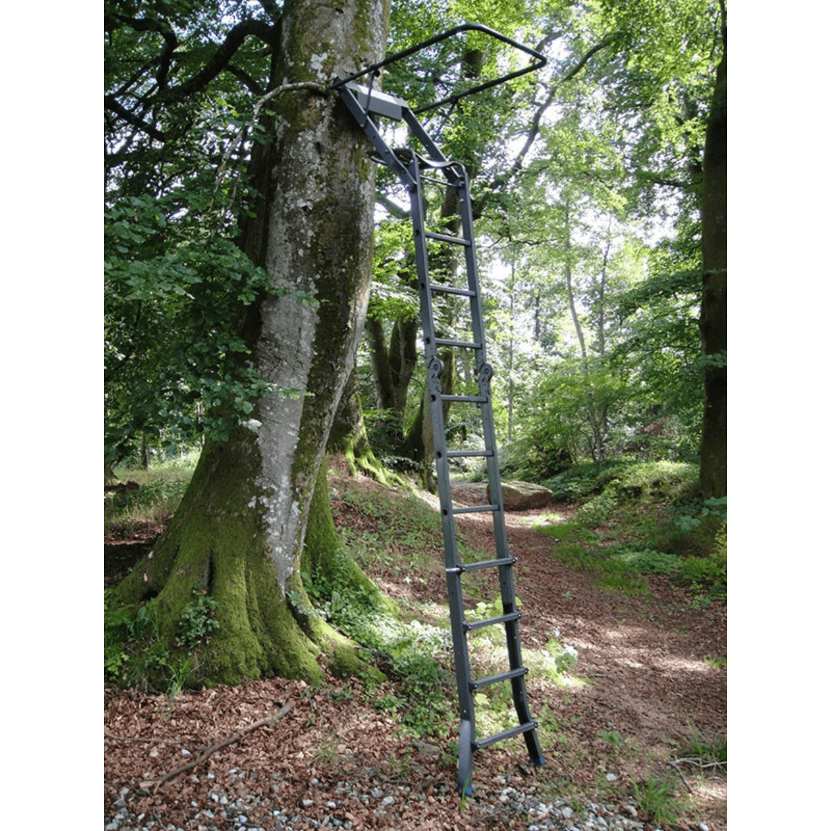 HS-40 utdragbar stege