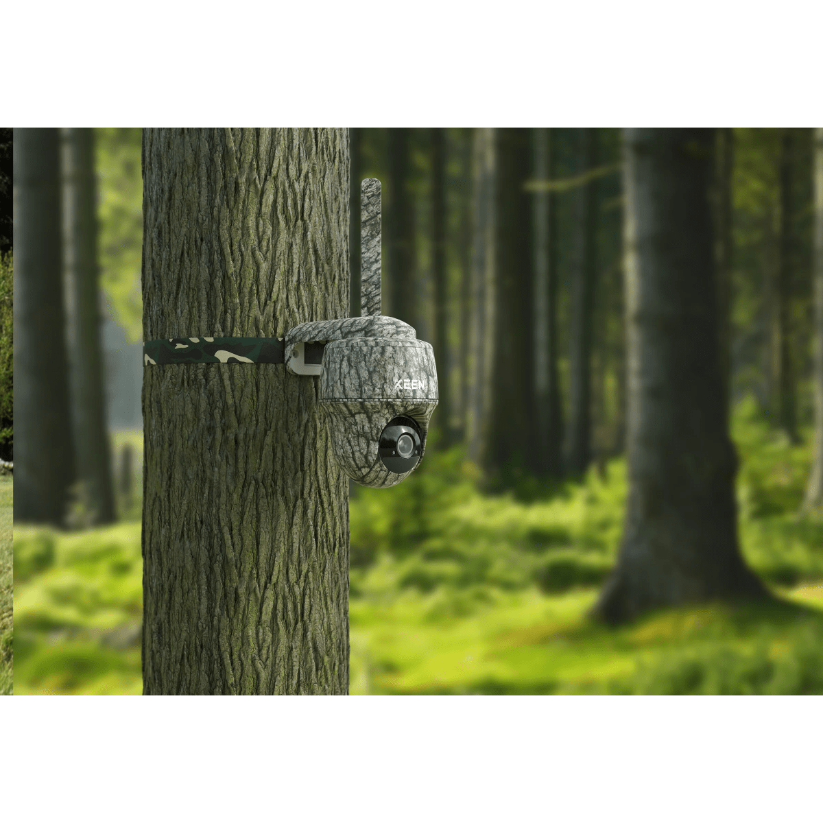 Reolink Go Ranger PT- 4K Ultra HD Wildlife Camera inkl. solpanel