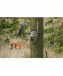Reolink Go Ranger PT- 4K Ultra HD Wildlife Camera inkl. solpanel