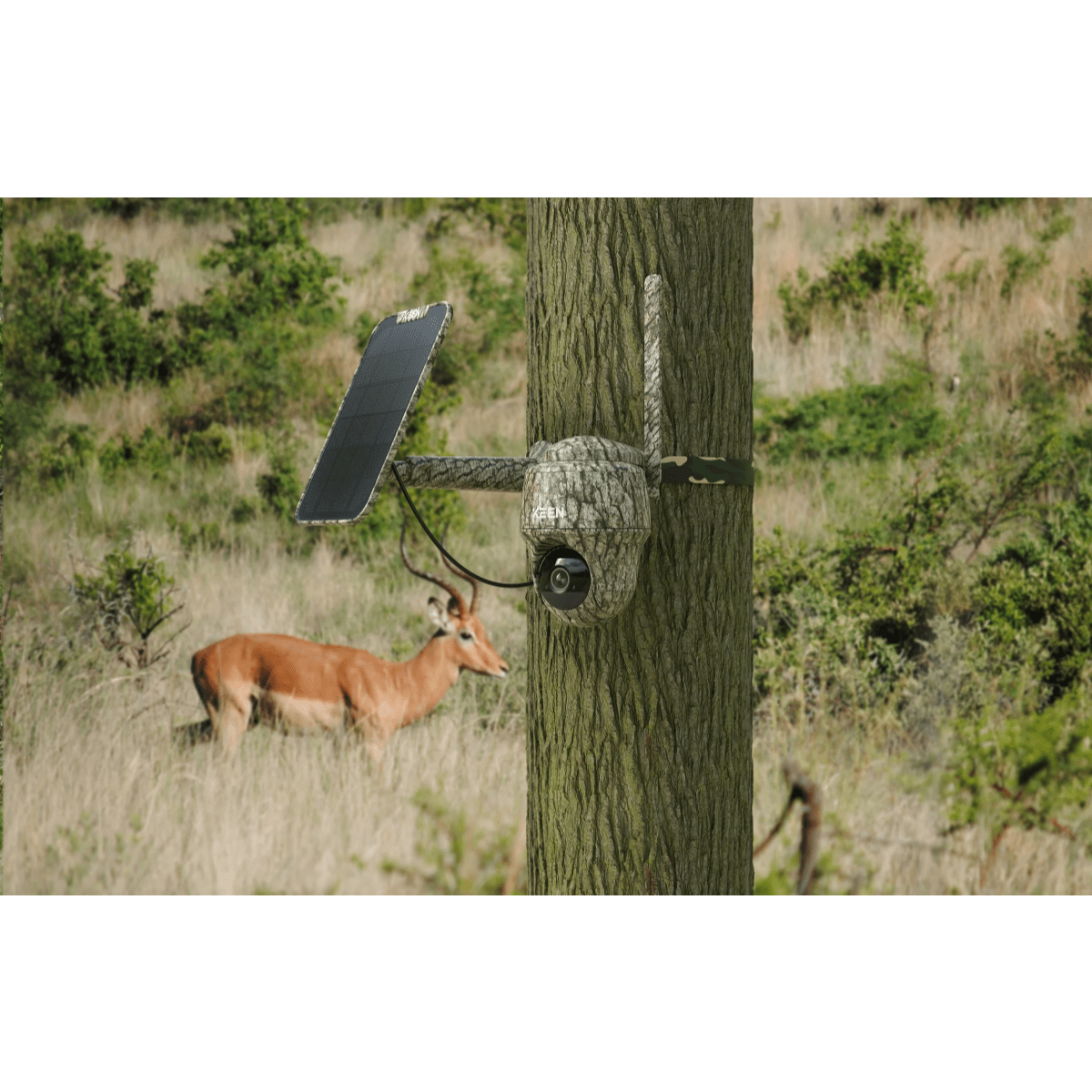 Reolink Go Ranger PT- 4K Ultra HD Wildlife Camera inkl. solpanel
