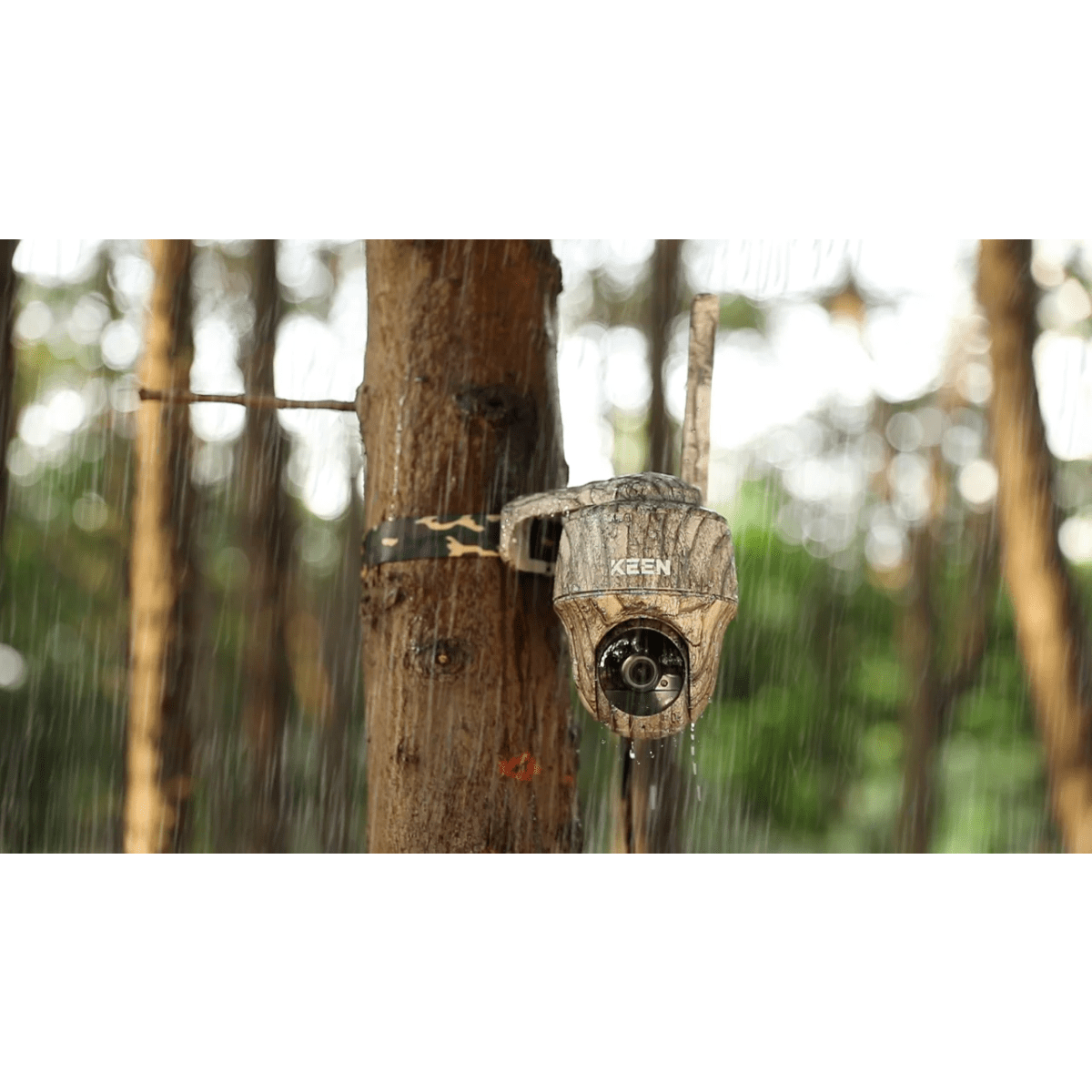 Reolink Go Ranger PT- 4K Ultra HD Wildlife Camera inkl. solpanel