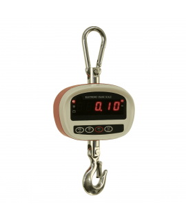 Digital 300 kg vikt