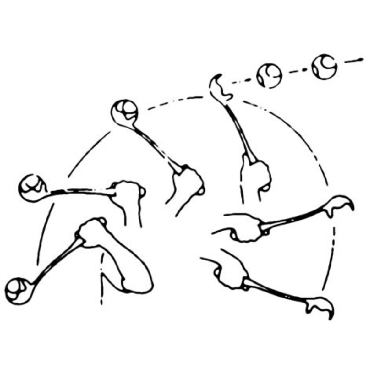 Bollkastare Maxi Speed - Kerbl