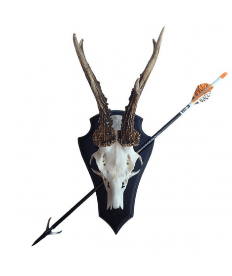NordicHunt - Bågplatta - Pil och båge