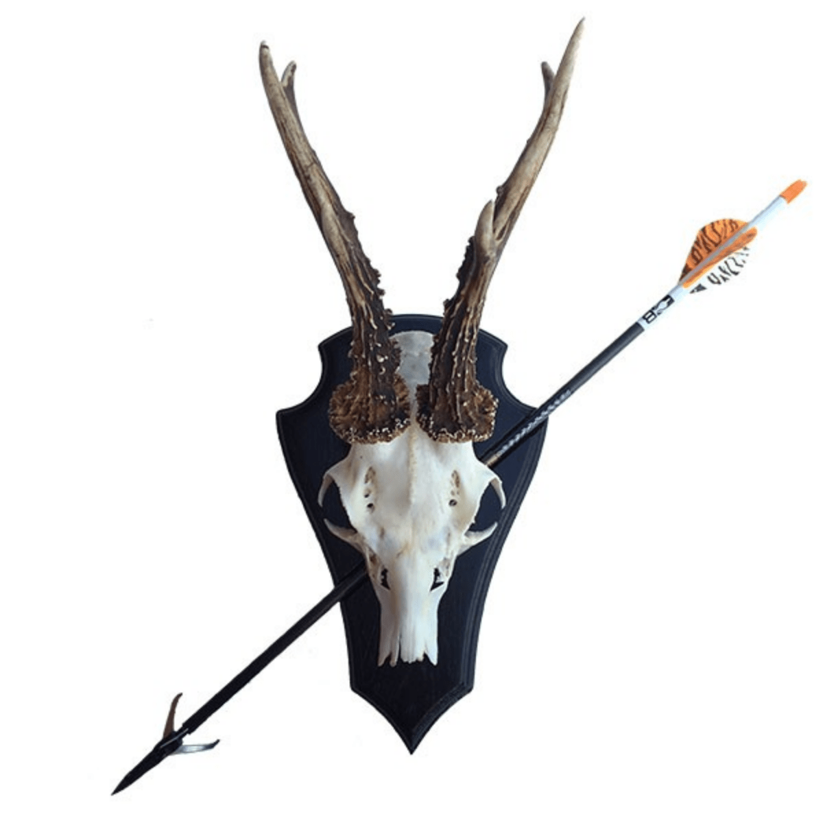 NordicHunt - Bågplatta - Pil och båge