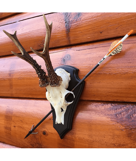 NordicHunt - Bågplatta - Pil och båge