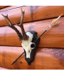 NordicHunt - Bågplatta - Pil och båge