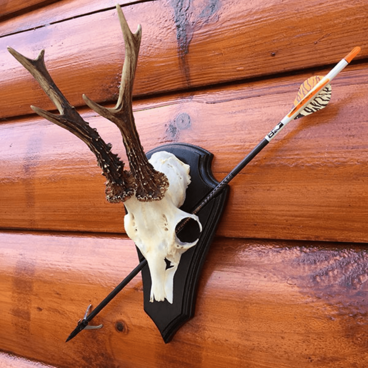 NordicHunt - Bågplatta - Pil och båge