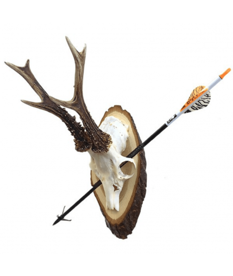 NordicHunt - Bågplatta Natureg - Pil och båge