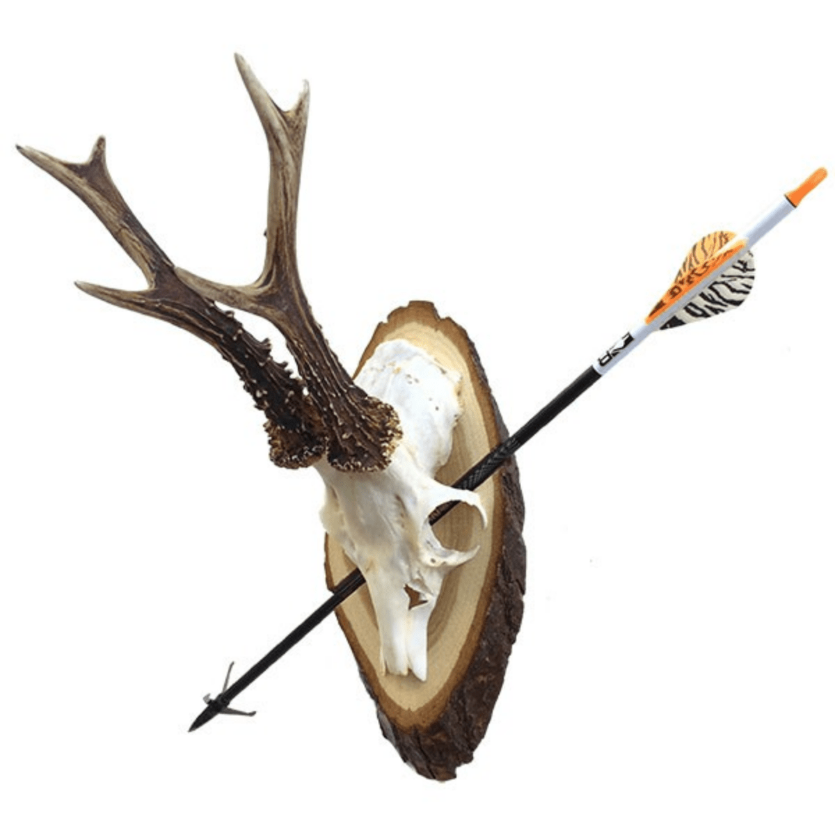 NordicHunt - Bågplatta Natureg - Pil och båge