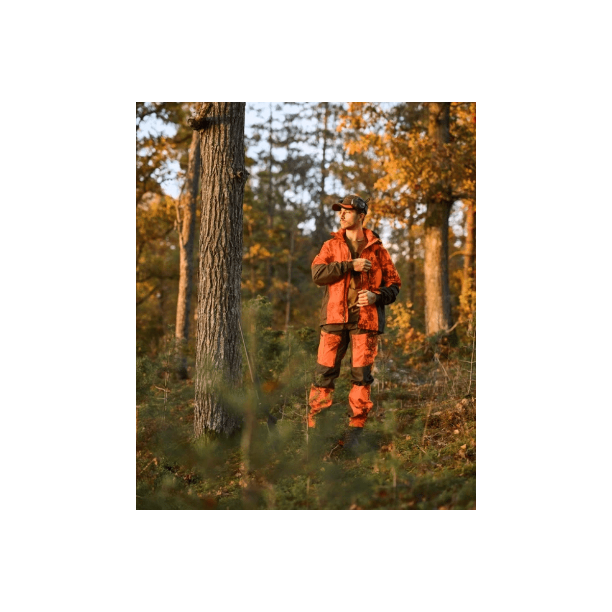 Pinewood - Furudal/Tracking M´S Camou Jacket