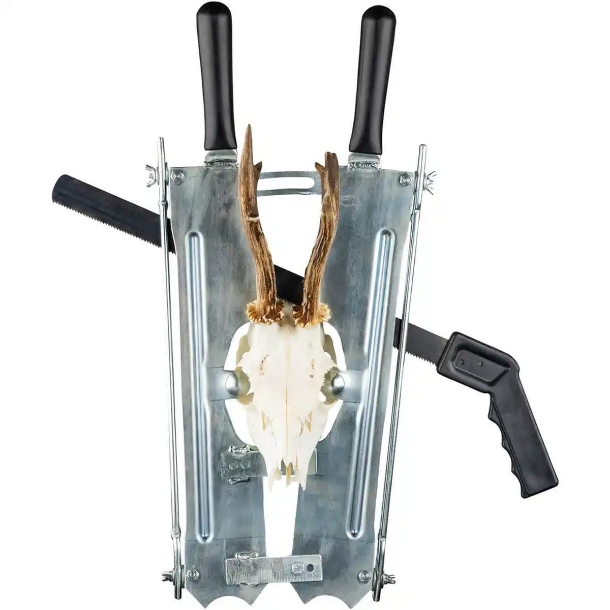 Trofésåg för bock