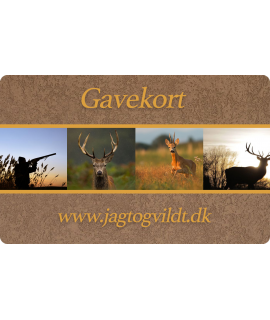 Presentkort