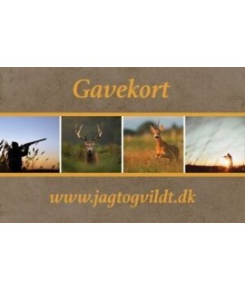 Presentkort