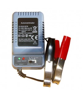 Laddare för 6- och 12-voltsbatteri