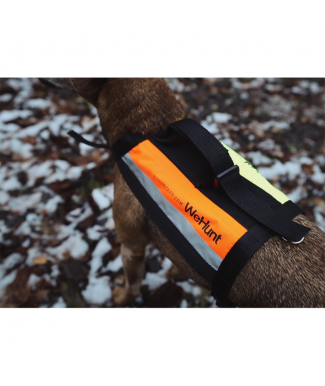 WeHunt GPS Plus hundväst
