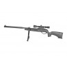 Gamo HPA Mi IGT Luftgevär 4,5mm med kikarsikte och bipod