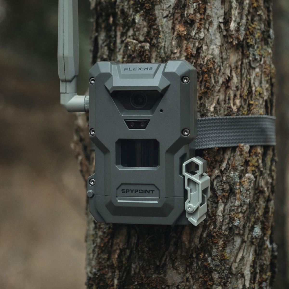 SPYPOINT FLEX-M2 viltkamera med 4G