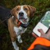 Tracker-reflexhalsband för hundar