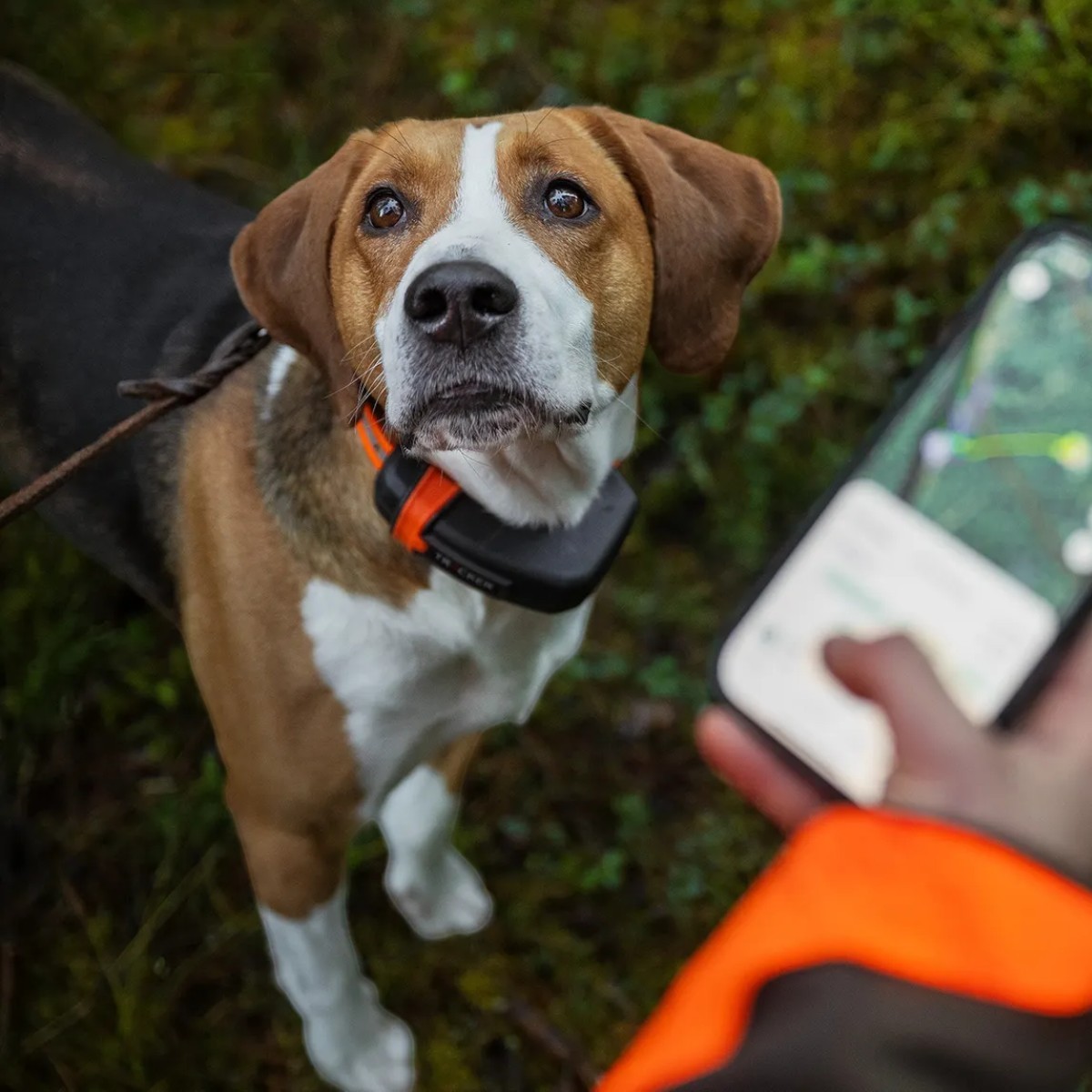 Tracker-reflexhalsband för hundar