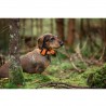 Tracker Bark 4G IoT GPS-enhet för hundar