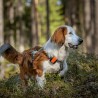 Tracker Bark 4G IoT GPS-enhet för hundar