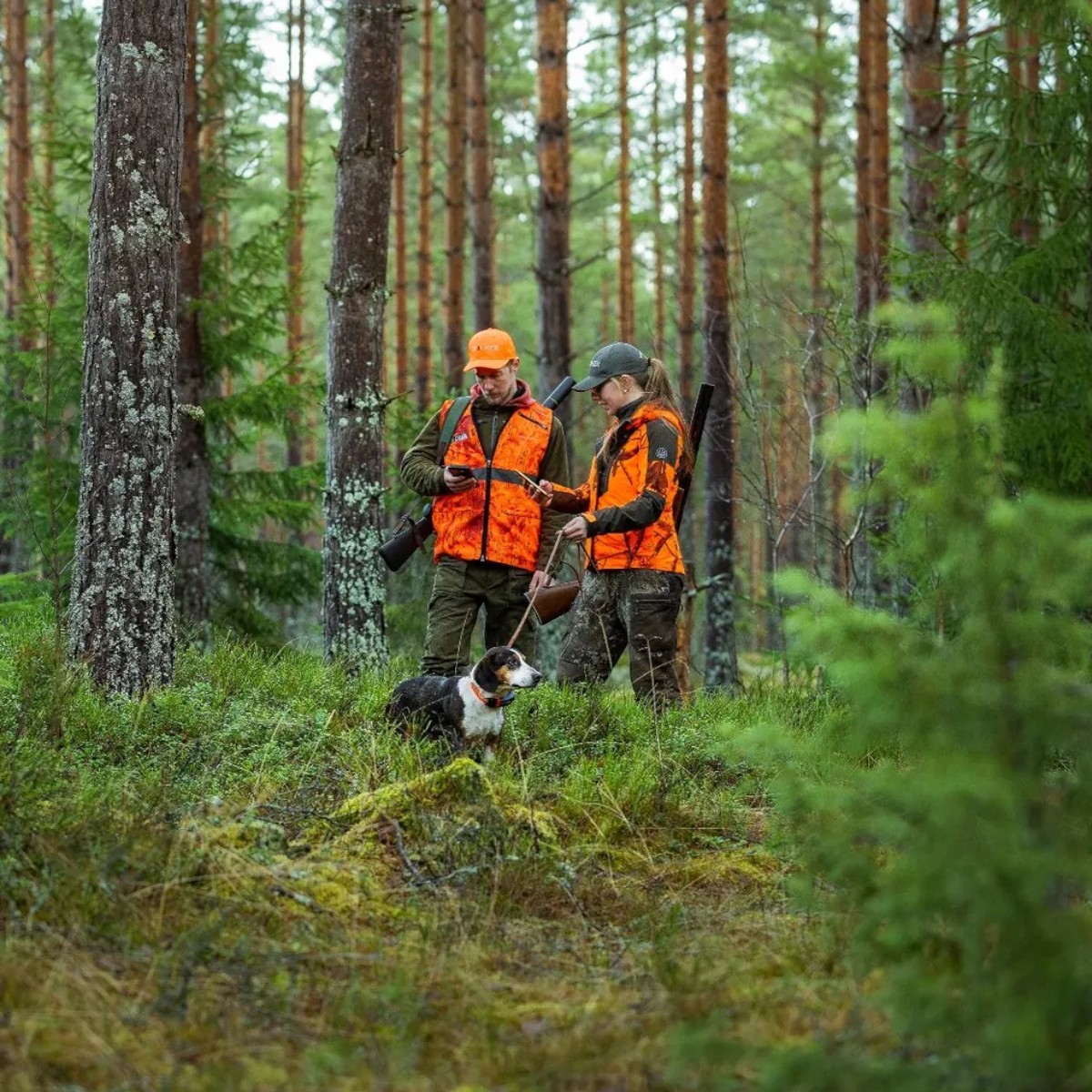 Tracker Bark 4G IoT GPS-enhet för hundar