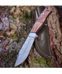Parforce Ingrata - Outdoorkniv i Damaskus-stål