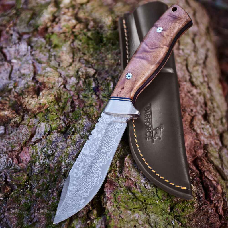 Parforce Ingrata - Outdoorkniv i Damaskus-stål