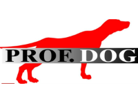 Prof.Dog